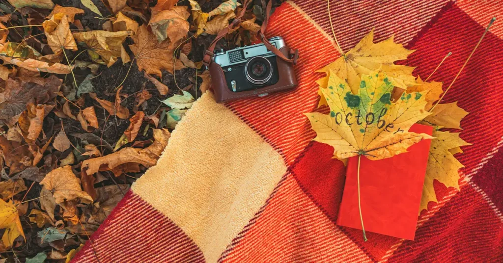 Blanket with book and old retro camera on the ground in autumn public park. copy space